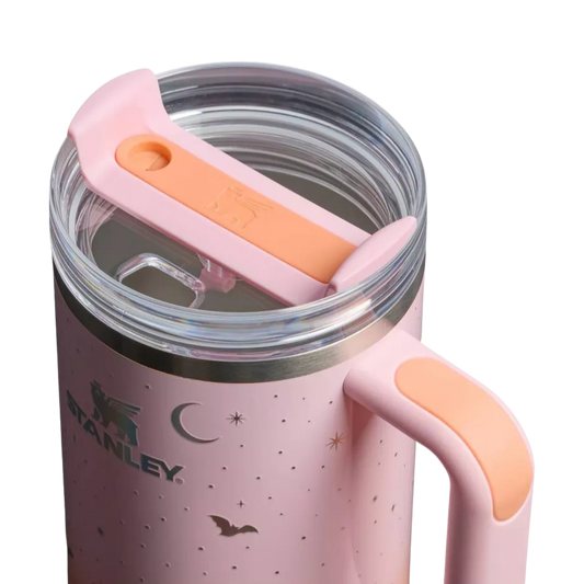 Termo 20 oz Halloween Spellcast Pink