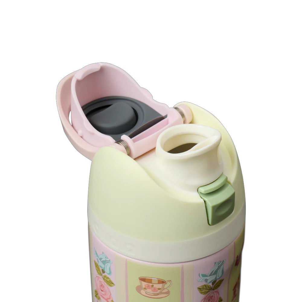 Owala FreeSip 16 oz Pretty Polite