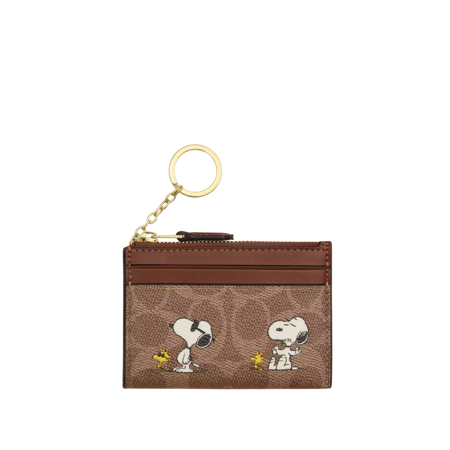 Coach Mini Skinny Id
