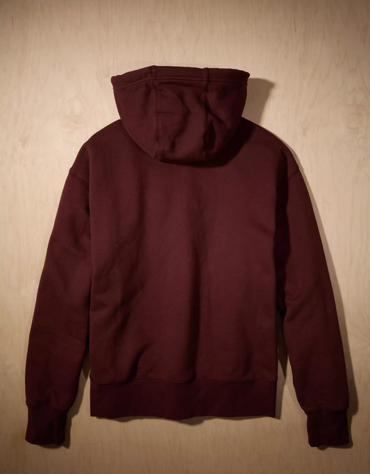 AE x Tru Kolors Heavyweight Graphic Hoodie Burgundy