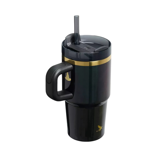 Termo 20 oz Elphaba For Good