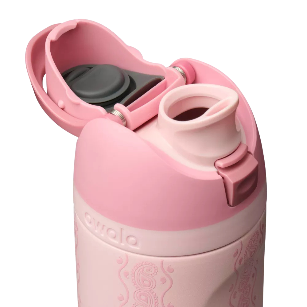 Owala FreeSip 24 oz Painted Canyon