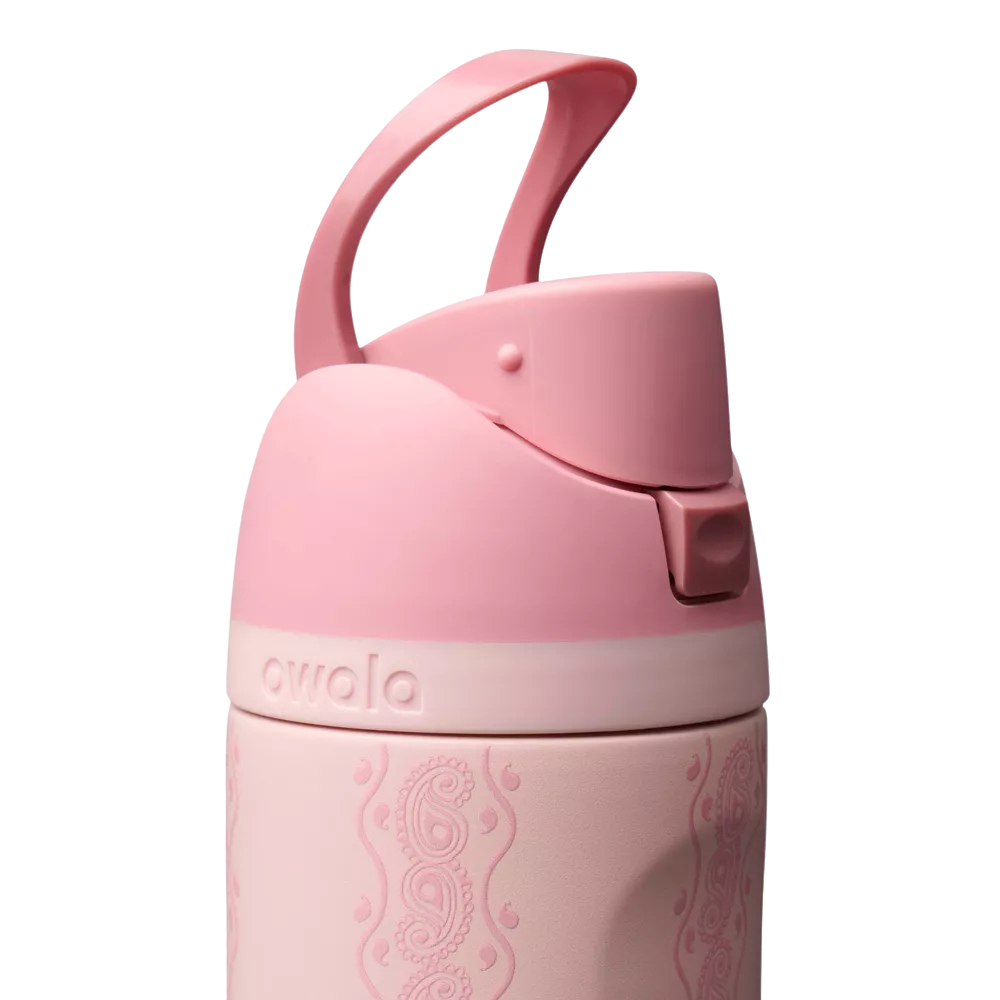 Owala FreeSip 24 oz Painted Canyon
