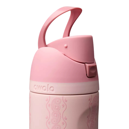 Owala FreeSip 24 oz Painted Canyon