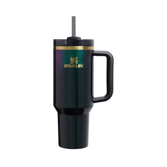 Termo 40 oz Wicked Elphaba For Good