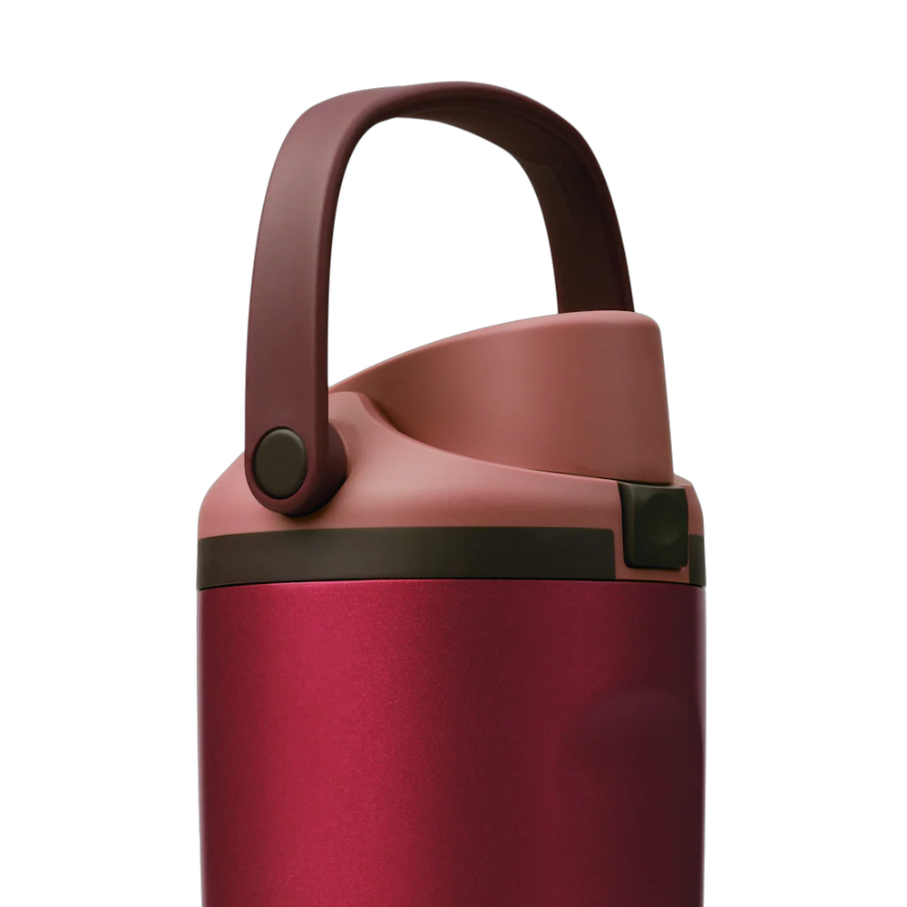 Owala FreeSip Sway 30oz Poinsettia