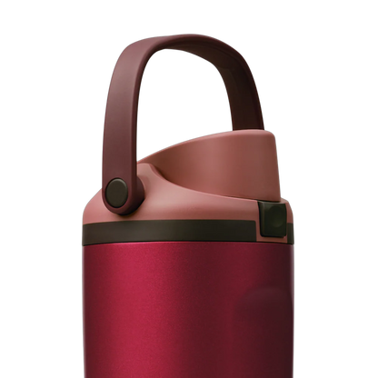 Owala FreeSip Sway 30oz Poinsettia