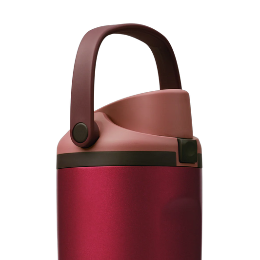 Owala FreeSip Sway 30oz Poinsettia