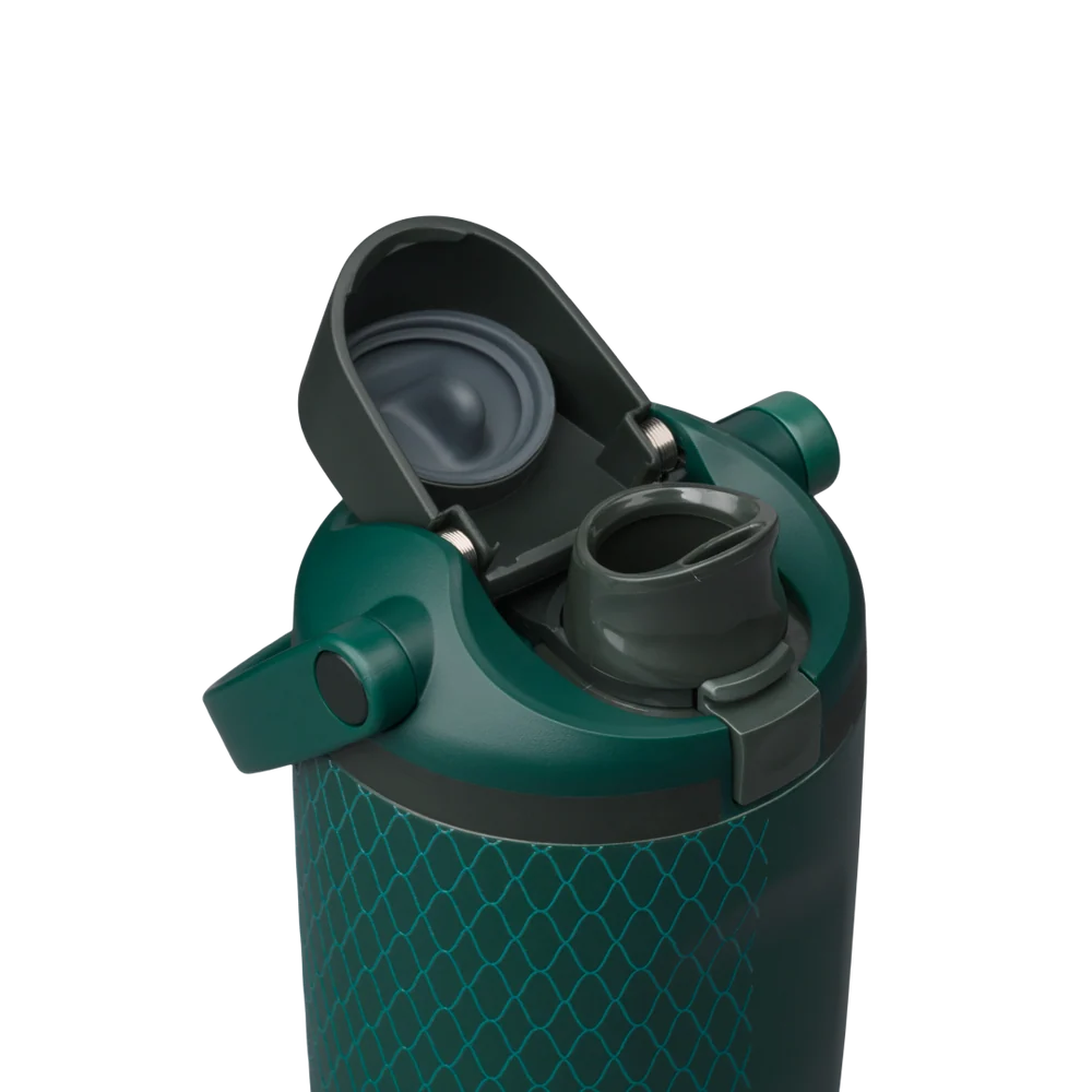 Owala FreeSip Sway 30oz Slytherin
