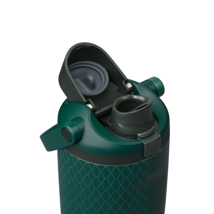 Owala FreeSip Sway 30oz Slytherin