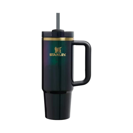 Termo 30 oz Wicked Elphaba For Good