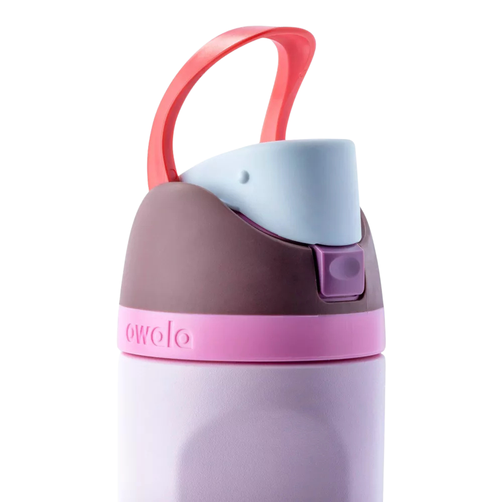 Owala FreeSip 16 oz Cake Pop