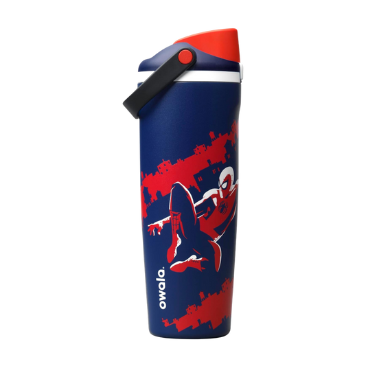 Owala FreeSip Sway 30oz Swing of Things